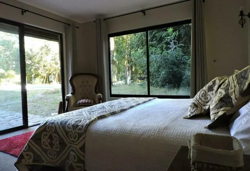 スイート, Casa De Noah Bed & Breakfast