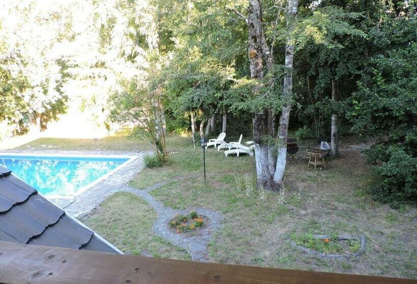 غرفة قياسية حمام مشترك, Casa De Noah Bed & Breakfast