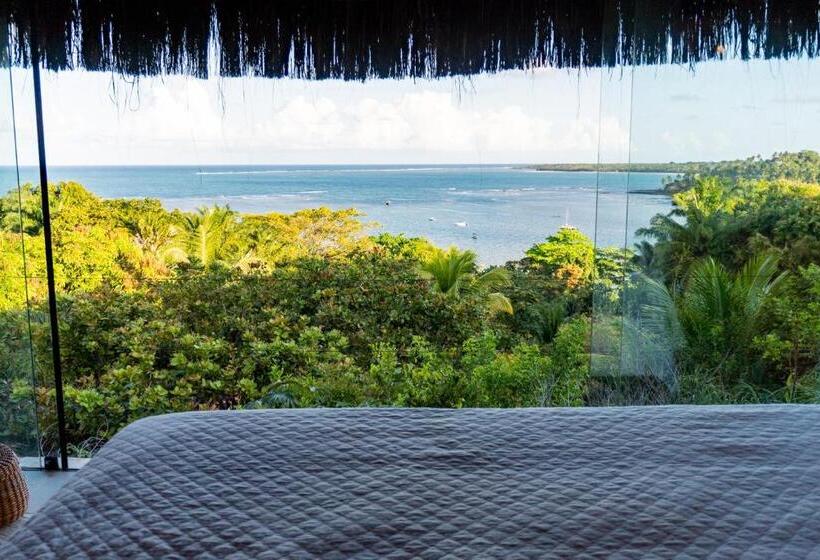 بانگلوی لوکس, Alizées Moreré