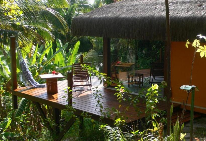 بانگلوی لوکس, Alizées Moreré