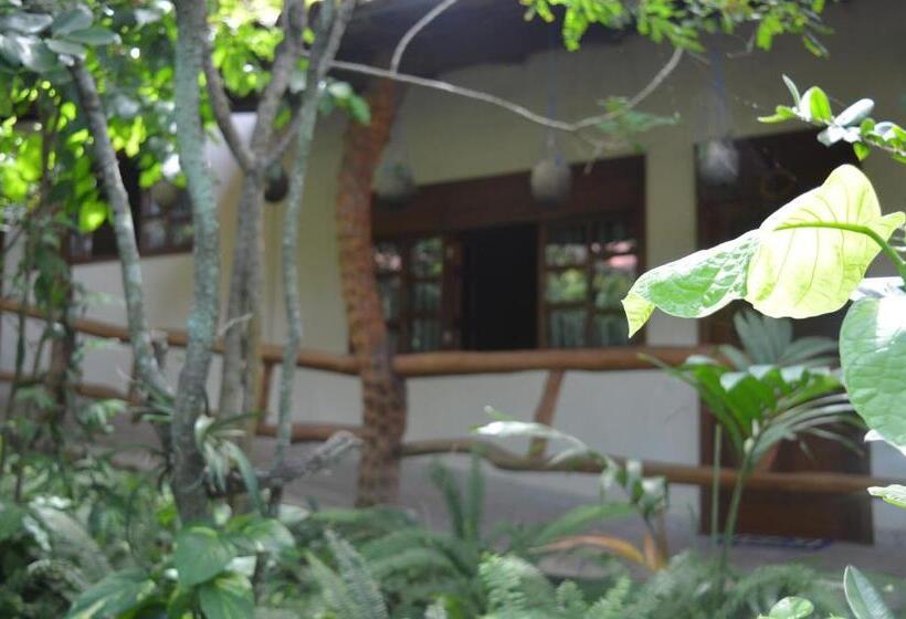 חדר סטנדרט, Pousada Pau Brasil Ubu