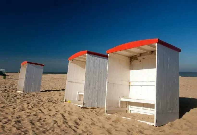 1ベッドルームアパートメント, Steeds Aan Zee