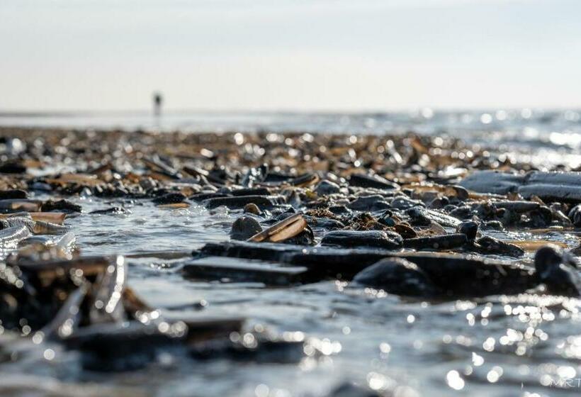 آپارتمان 1 خوابه, Steeds Aan Zee