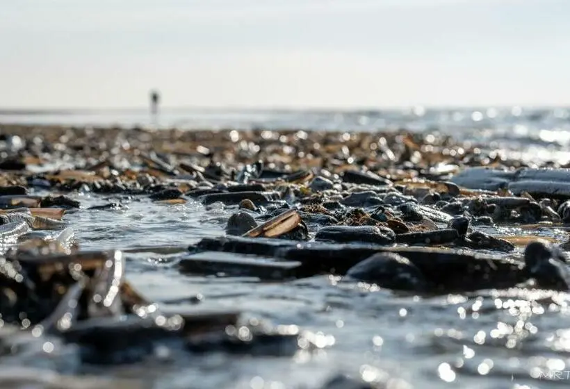 1ベッドルームアパートメント, Steeds Aan Zee