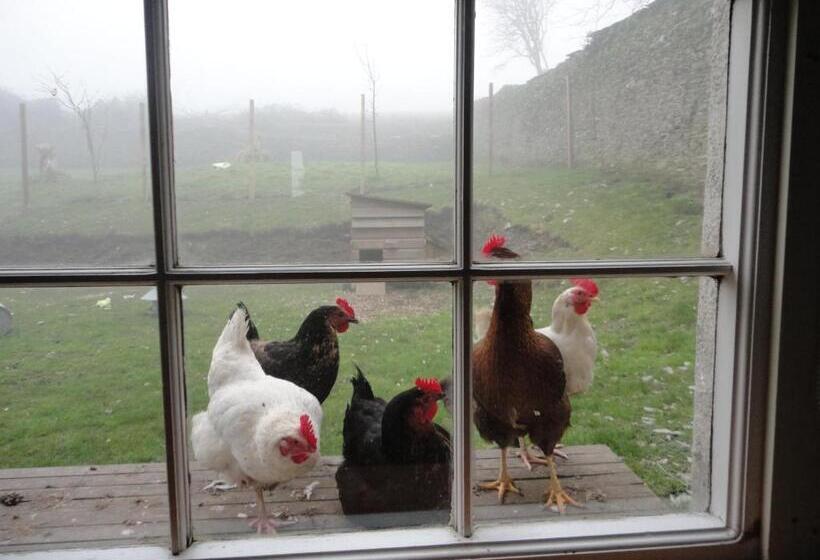 דירת שני חדרים, Rame Barton Guest House And Pottery