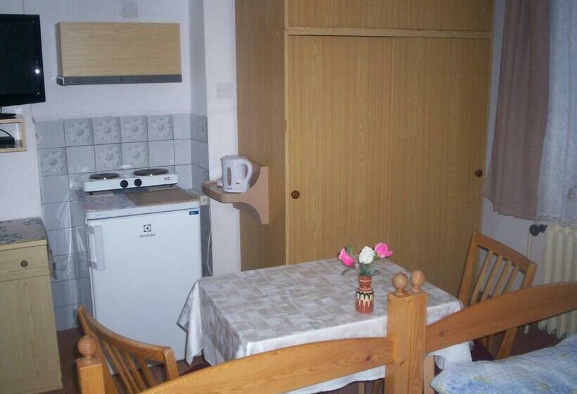 غرفة قياسية, Penzion Hainiš