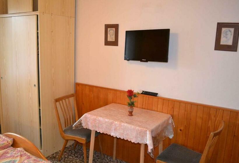 غرفة قياسية, Penzion Hainiš