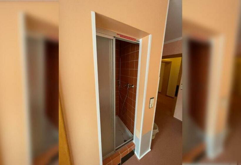 Номер Стандарт, Haus Erlen