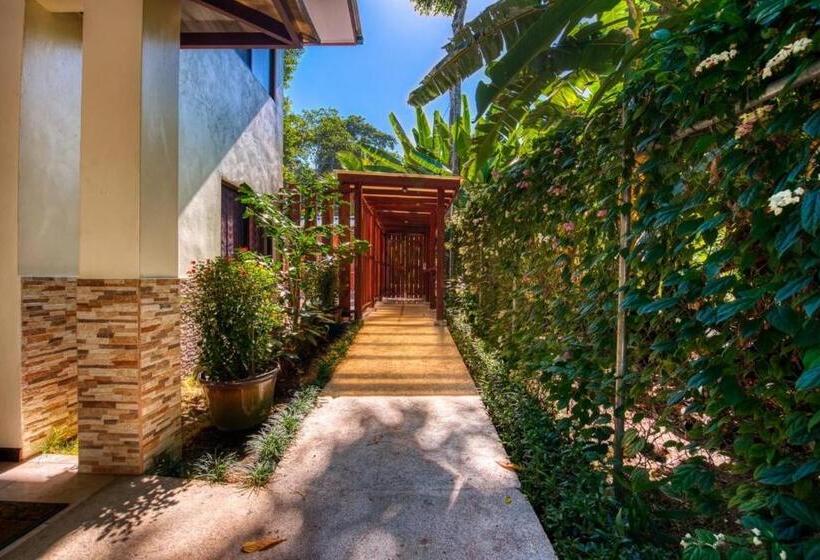 带2个卧室的公寓, Arococles