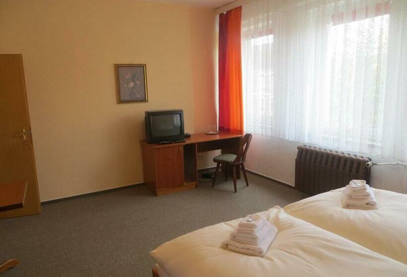 חדר סטנדרט, Heidehotel Letzlingen