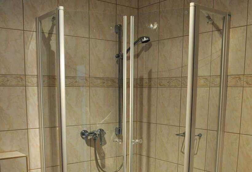 غرفة إقتصادية, Hofgarten Rosa