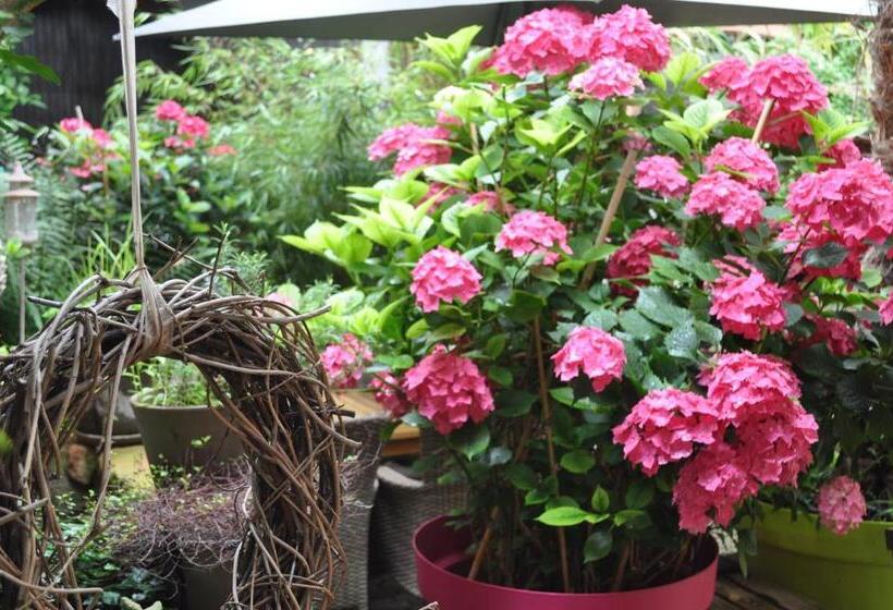 غرفة ديلوكس, Hofgarten Rosa