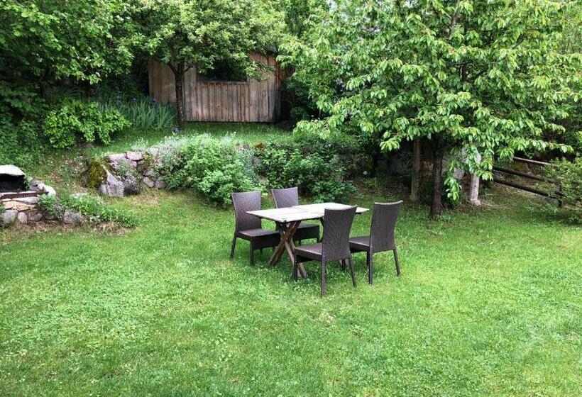 带露台的小型套房, Cal Xandera