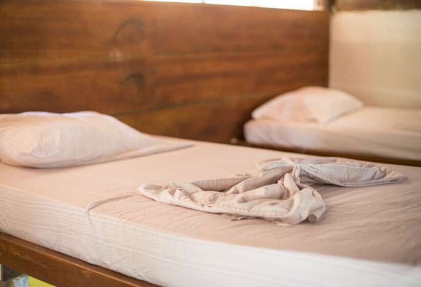 מיטה בחדר משותף, Masaya Tayrona & Beach Club