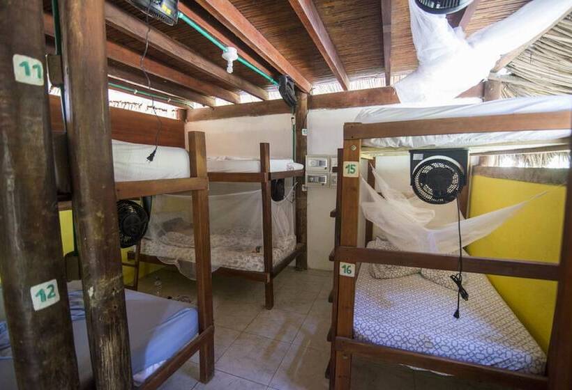 מיטה בחדר משותף, Masaya Tayrona & Beach Club