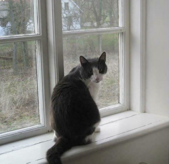 バス共有のスタンダードルーム, Silte Siglajvs 147