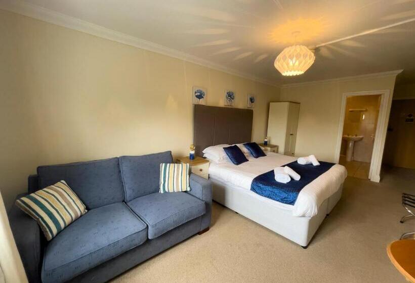 带大床的豪华间, Llanina Arms