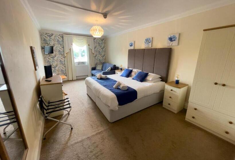 带大床的豪华间, Llanina Arms