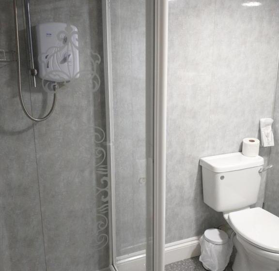 家庭套房, Llanina Arms