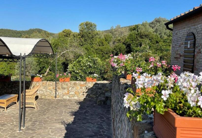 침실 1개 아파트, Tenuta Montemassi Podere Montauzzo