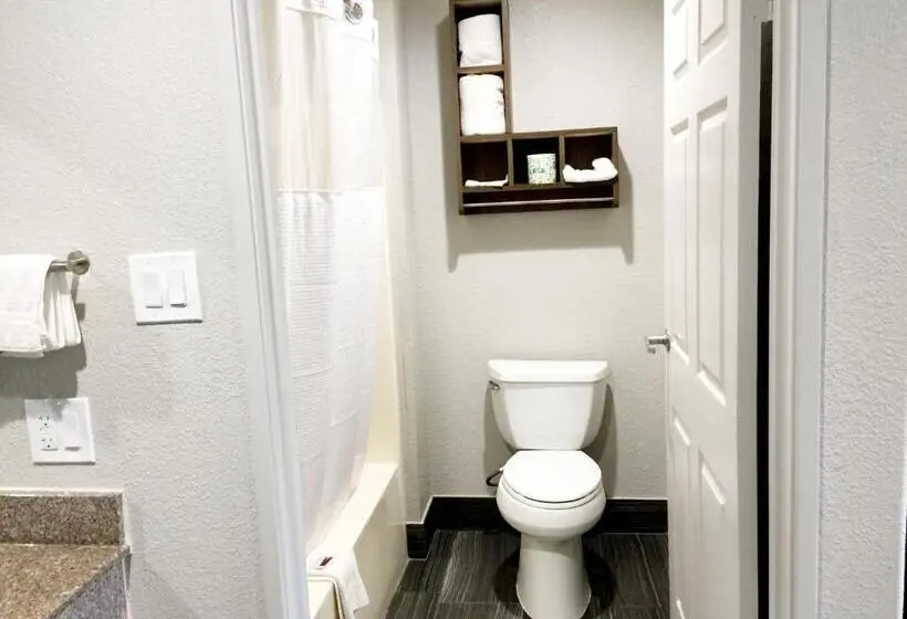 スイート, Americas Best Value Inn & Suites Mont Belvieu Houston