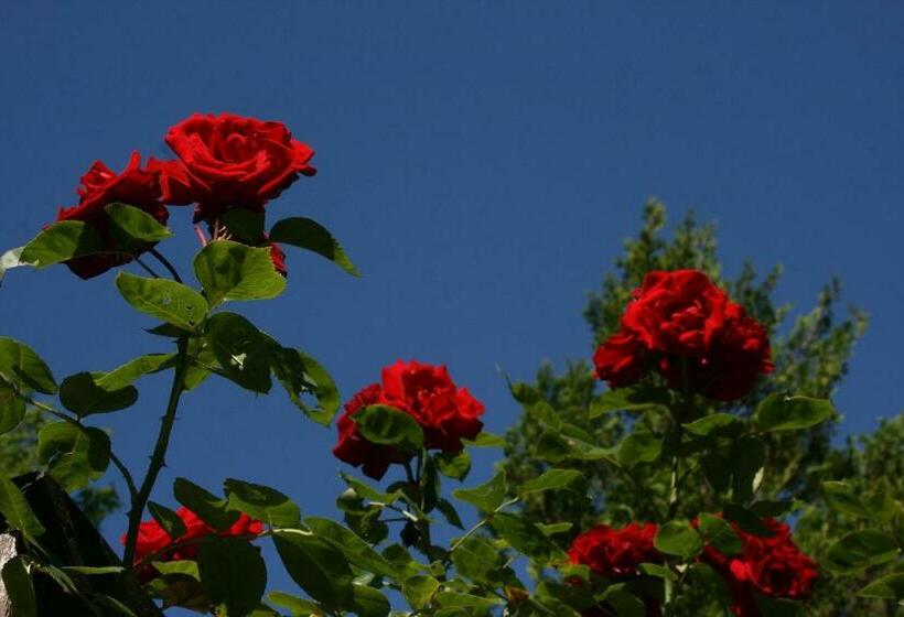 マウンテンビュースタンダードルーム, Kräuterbaude