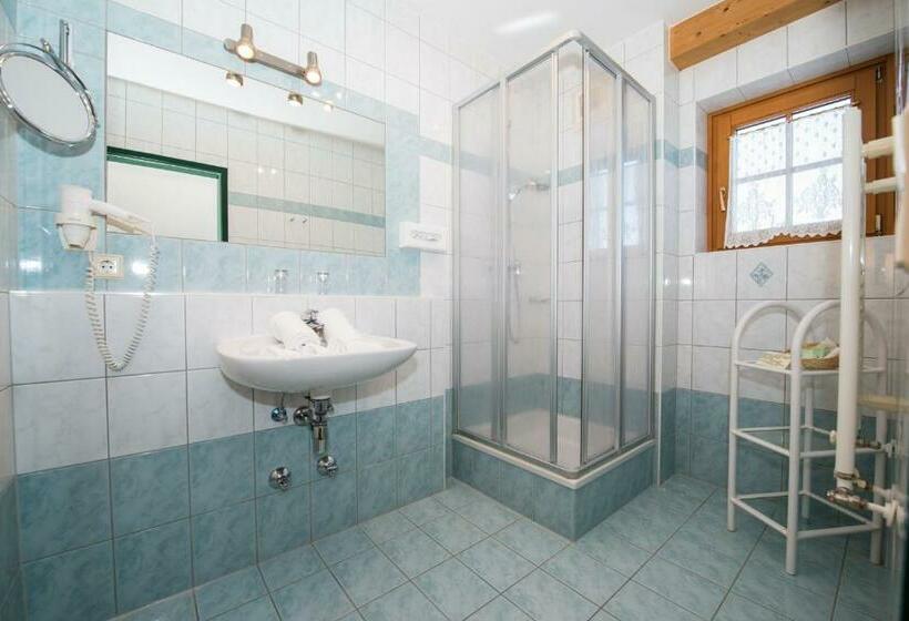 غرفة قياسية, Aparthotel Ederhof