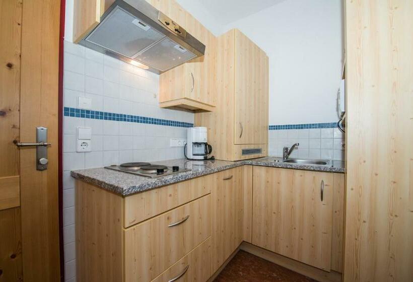 شقة غرفة واحدة, Aparthotel Ederhof