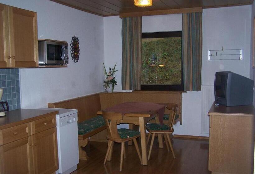شقة غرفتين, Ferienwohnung Ski Hans
