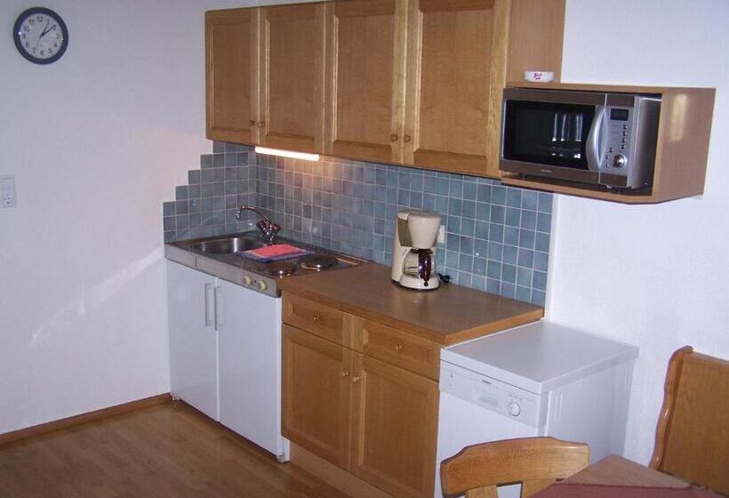 شقة غرفتين, Ferienwohnung Ski Hans