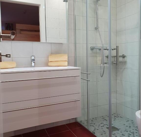 Апартаменты 1 Спальня, Ferienwohnung Ski Hans