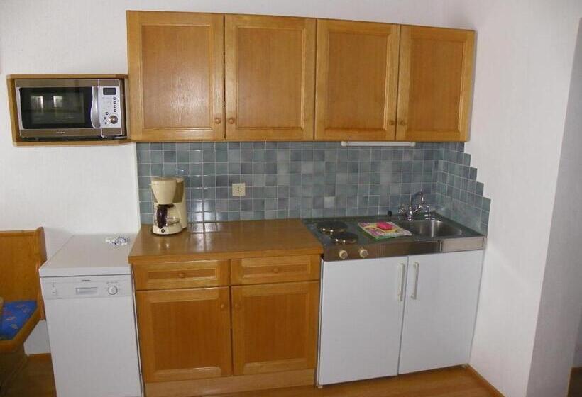 شقة غرفتين, Ferienwohnung Ski Hans