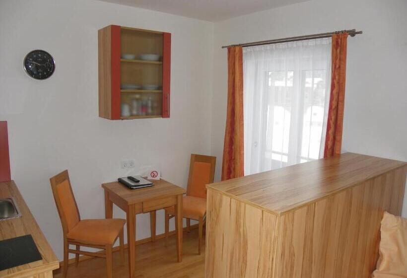 إستوديو ديلوكس, Ferienwohnung Ski Hans