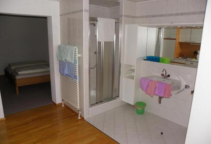 شقة بغرفة نوم واحدة, Ferienwohnung Ski Hans