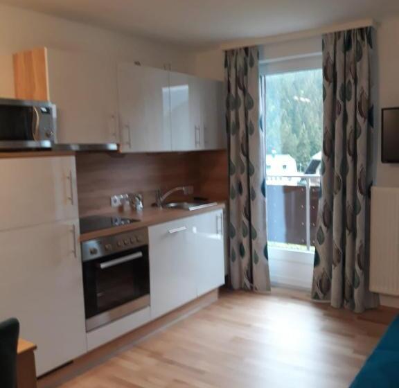 شقة غرفة نوم واحدة مزودة بشُرفة, Ferienwohnung Ski Hans