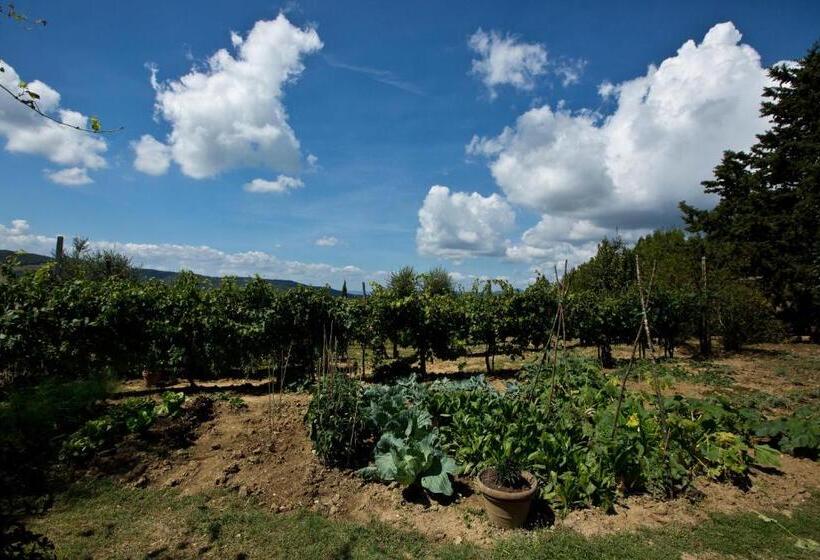 جناح سوبيريور, Agriturismo Podere Acqualoreto