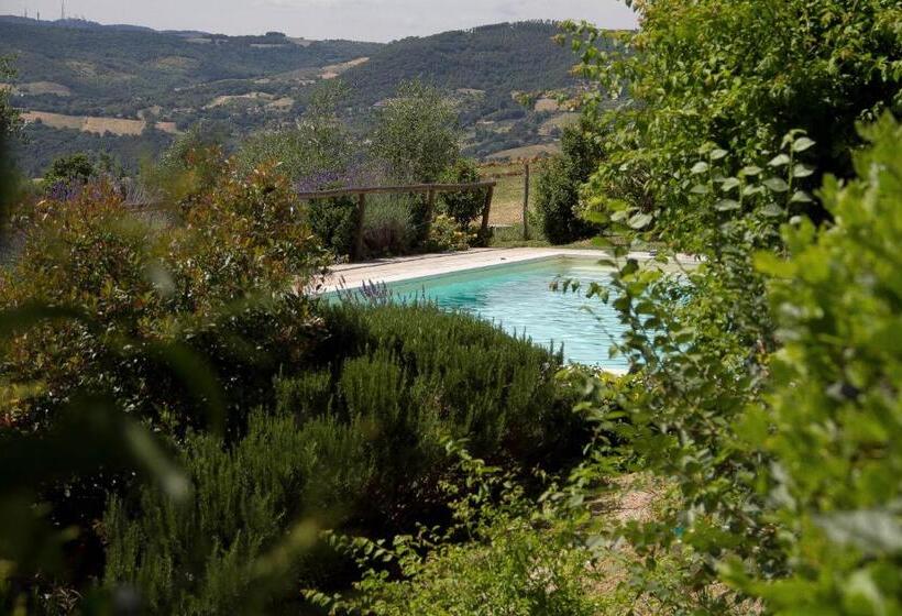 Люкс Superior, Agriturismo Podere Acqualoreto