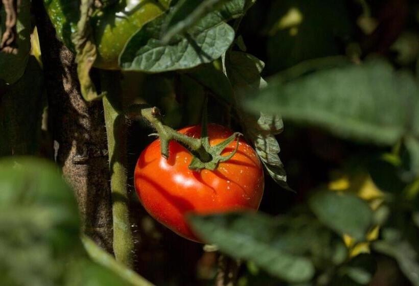 شقة بغرفتي نوم, Agriturismo Podere Acqualoreto