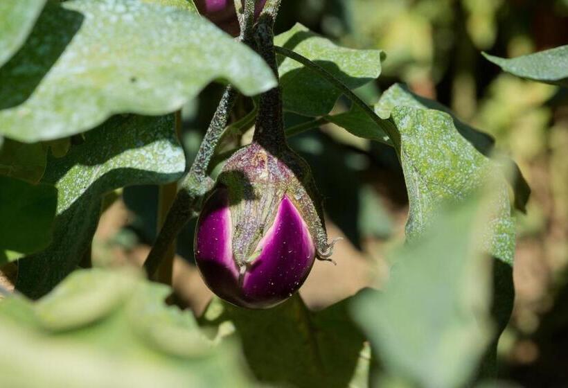 شقة بغرفتي نوم, Agriturismo Podere Acqualoreto