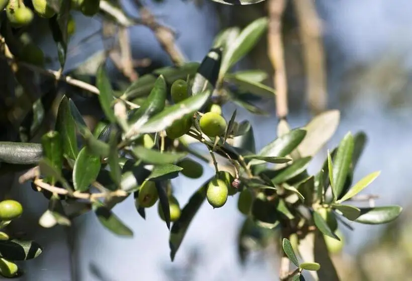 湖の見えるジュニアスイート, Agriturismo Podere Acqualoreto