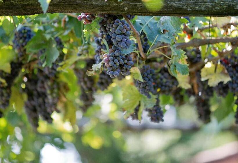 جناح جونيور مطل علي البحيرة, Agriturismo Podere Acqualoreto