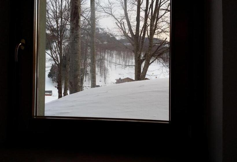 스탠다드 룸, Albergo Diana