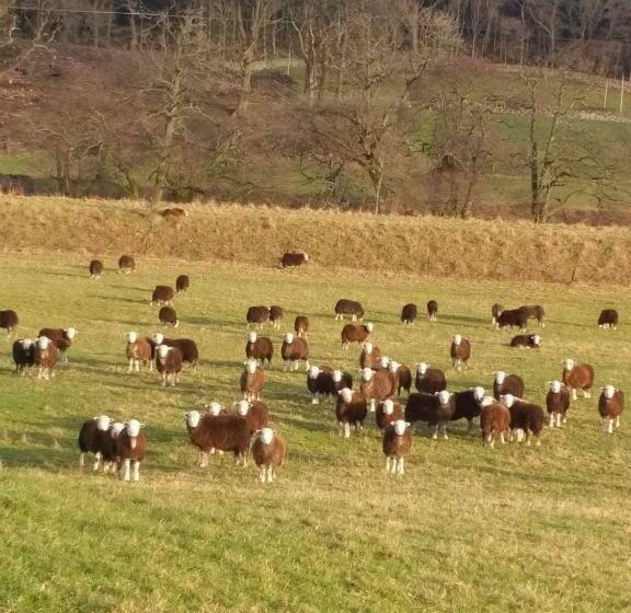 Дом 1 Спальня, Boreland Farm