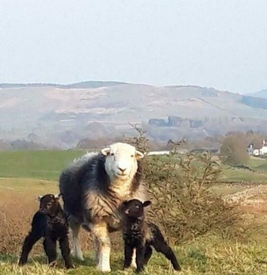 منزل غرفة نوم واحدة, Boreland Farm