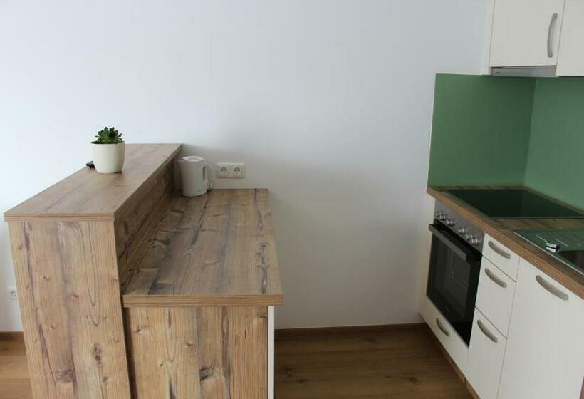 Apartamento 1 Dormitorio con Balcón, Gasthof S'schatzkastl
