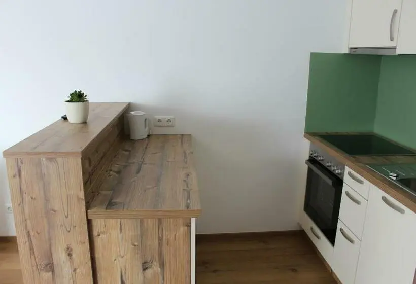 バルコニー付き1ベッドルームアパートメント, Gasthof S'schatzkastl