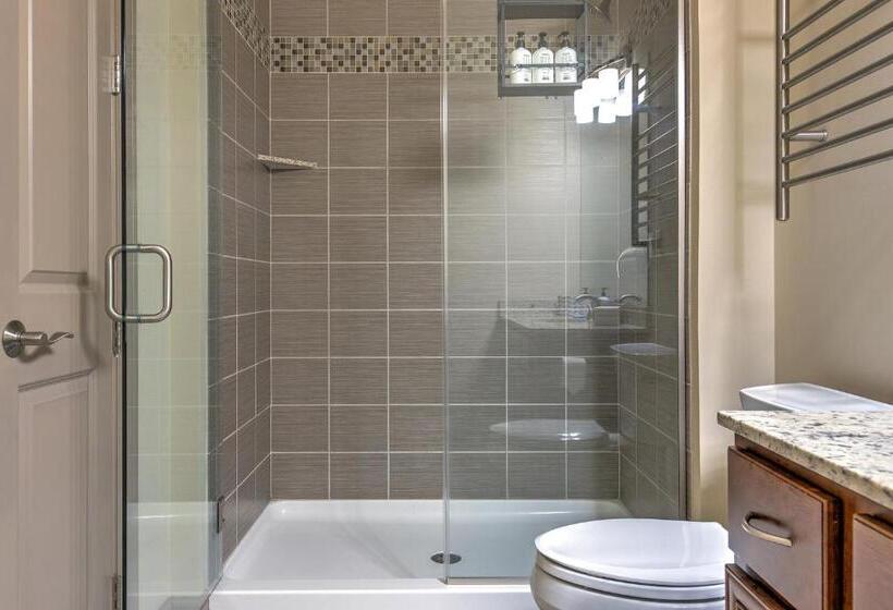 شقة غرفة واحدة, Kasa Central West End St Louis