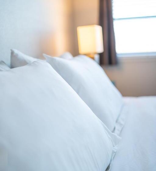 شقة غرفتين, Kasa Central West End St Louis