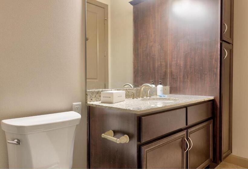 شقة غرفتين, Kasa Central West End St Louis