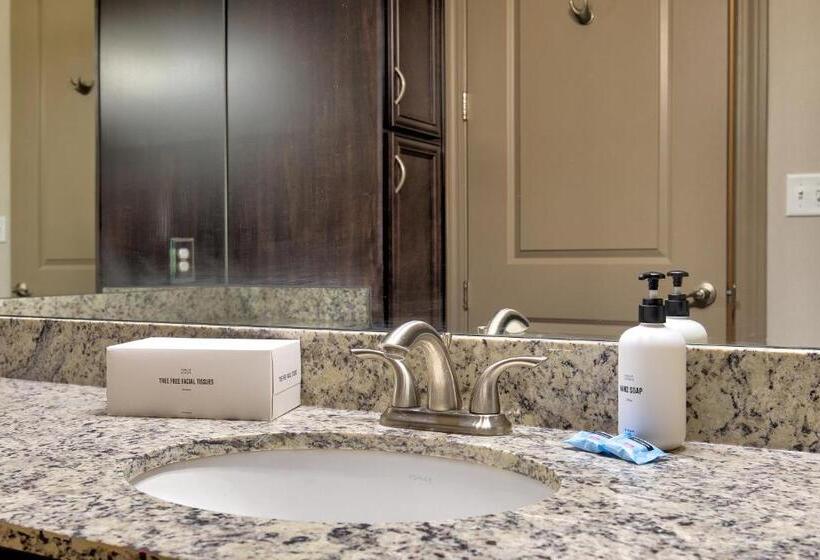 شقة غرفتين, Kasa Central West End St Louis